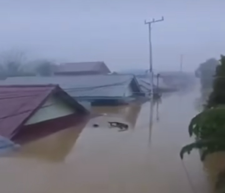 Sungai Mahakam Kaltim IKN Meluap, Rumah Terendam Sampai Atap