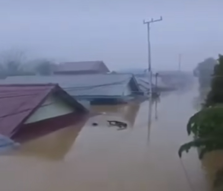 Sungai Mahakam Kaltim IKN Meluap, Rumah Terendam Sampai&nbsp;Atap