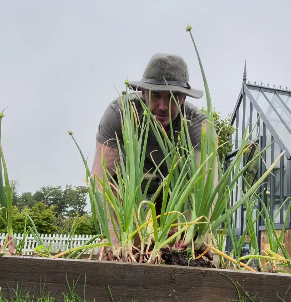 Nikmati Masa Pensiun dengan Berkebun, David Beckham Panen Daun&nbsp;Bawang